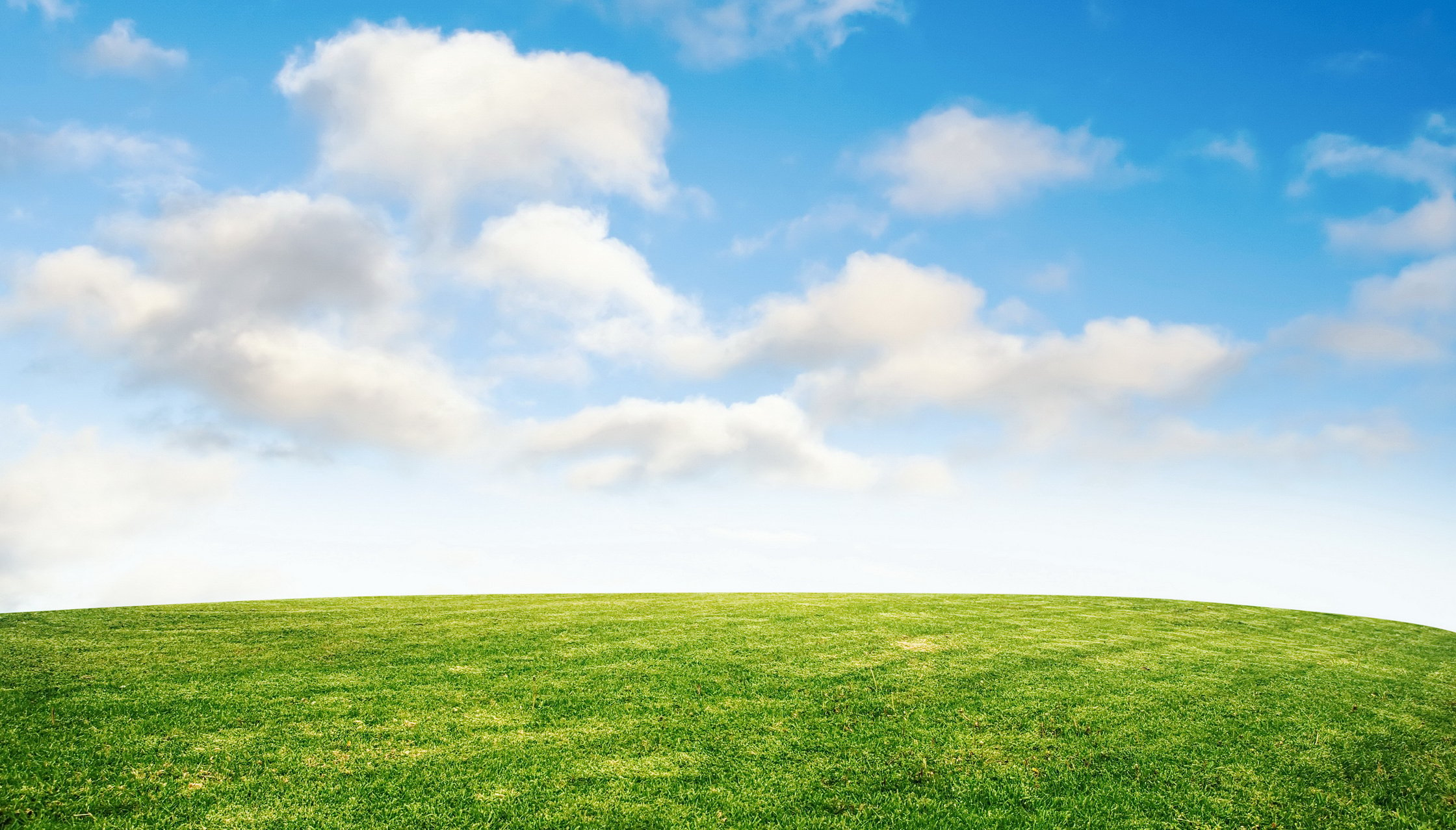 grass and sky